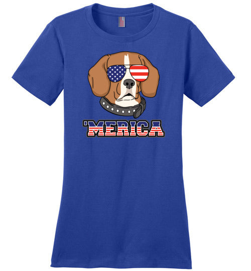 Beagle Merica