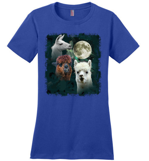 3 Llama Moon