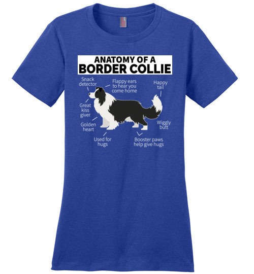Anatomy of a Border Collie Canvas
