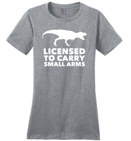 Licensed To Carry Small Arms T-Rex Canvas