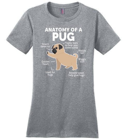 Pug Anatomy Canvas