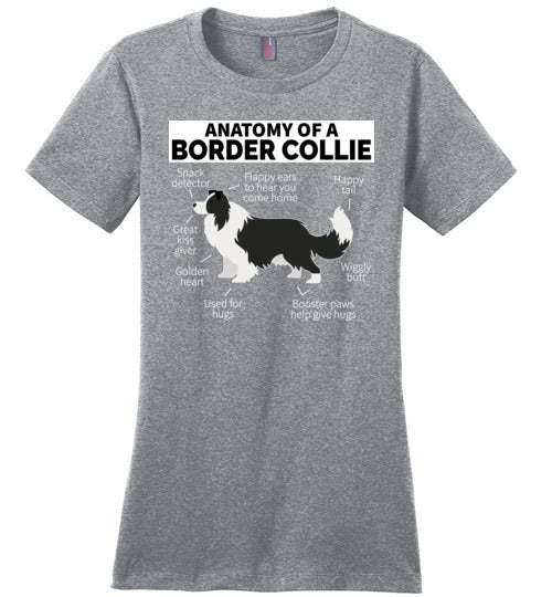 Anatomy of a Border Collie Canvas