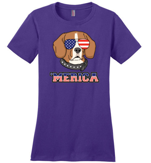 Beagle Merica
