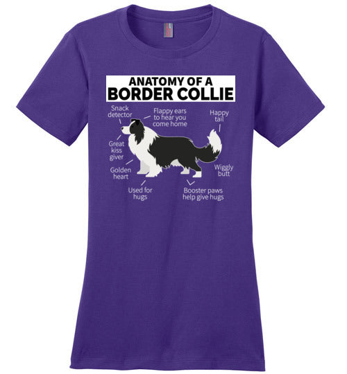 Anatomy of a Border Collie Canvas