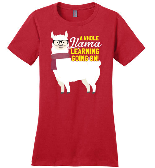 A Whole Llama Learning Going On