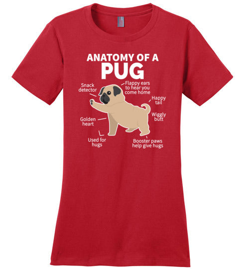 Pug Anatomy Canvas