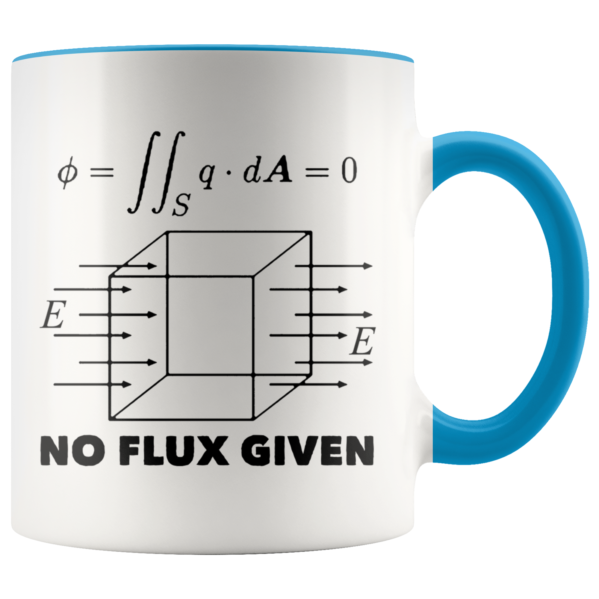 Accent Mug - Physics No Flux Given