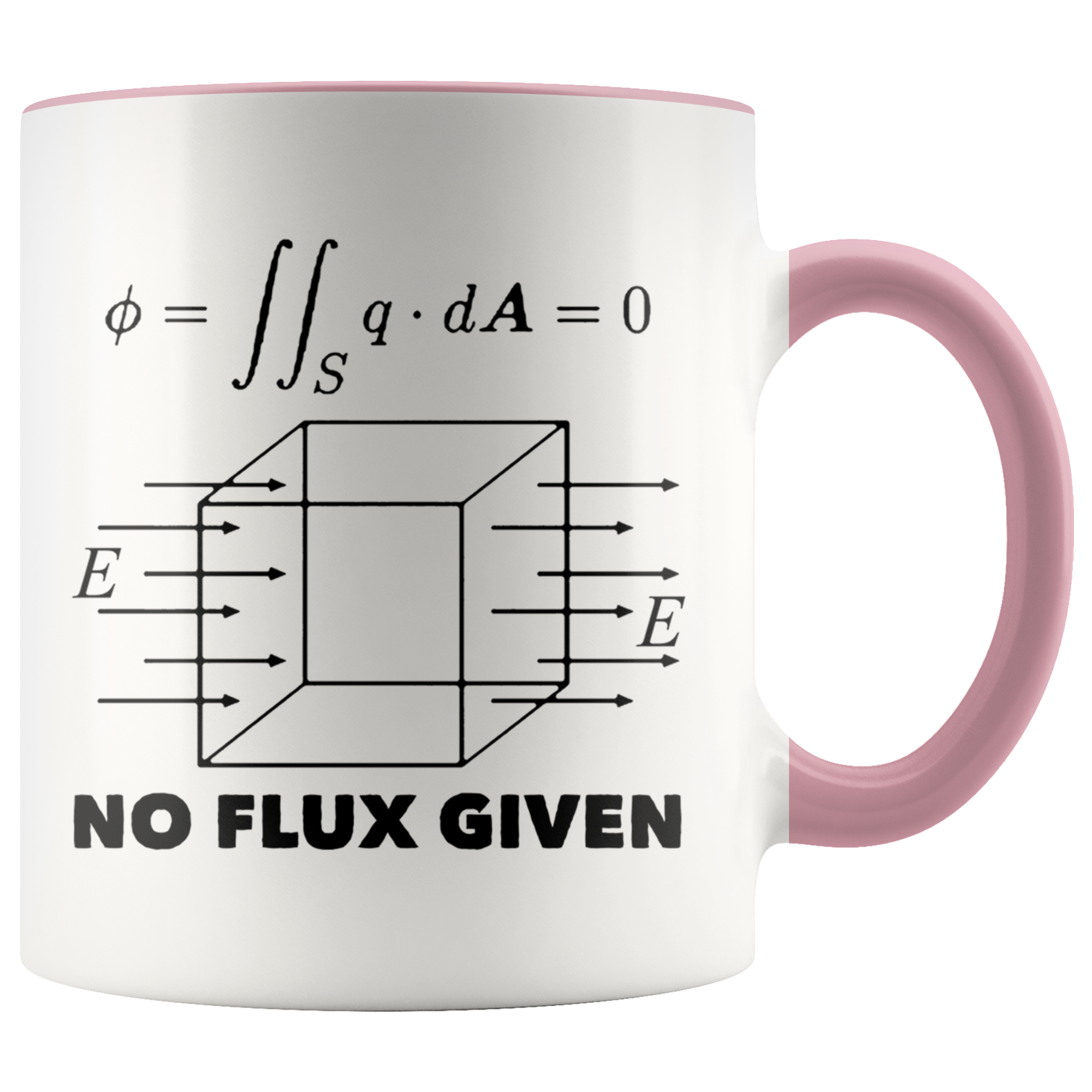 Accent Mug - Physics No Flux Given