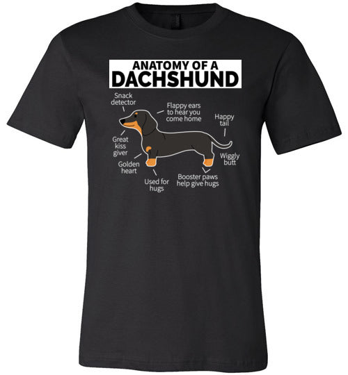 Dog Anatomy Dachshund Canvas