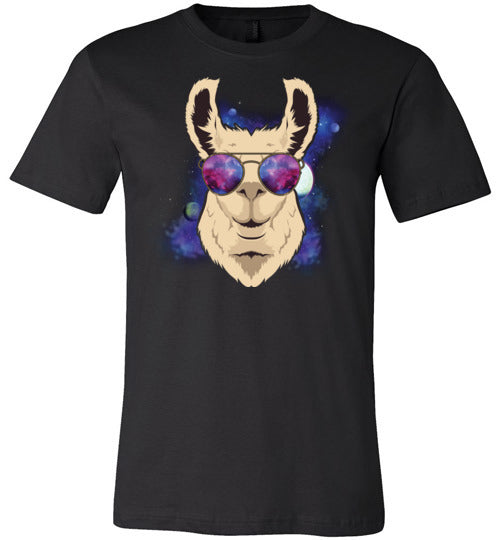 Llama Space Sunglasses Canvas