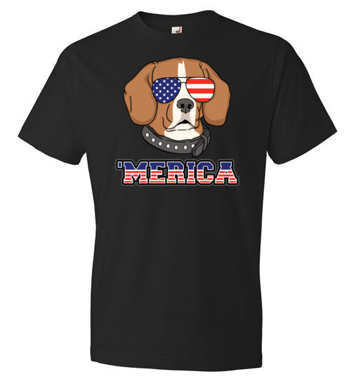 Beagle Merica