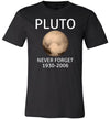 Pluto Never Forget Canvas