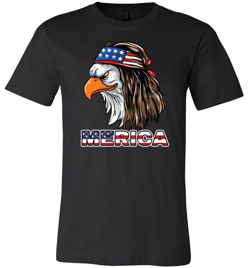 Eagle American Merica Canvas