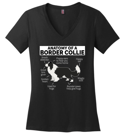 Anatomy of a Border Collie V-Neck