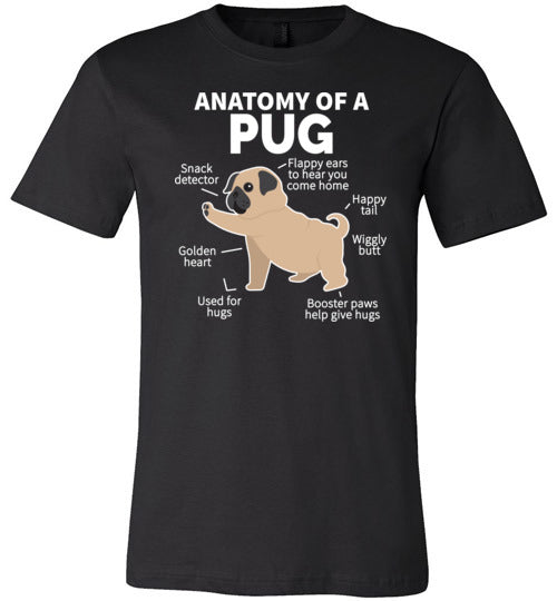 Pug Anatomy Canvas
