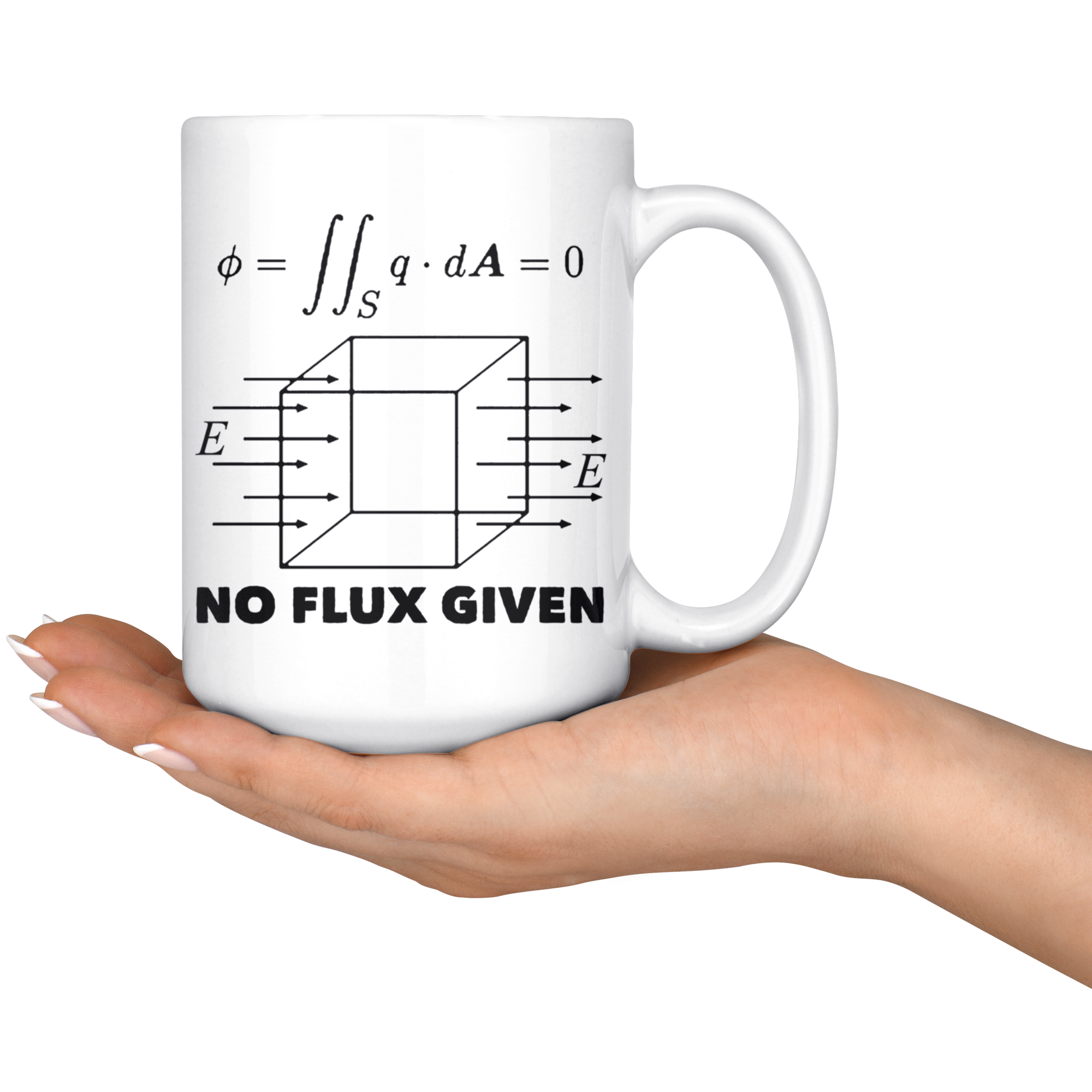 White 15oz Mug - Physics No Flux Given