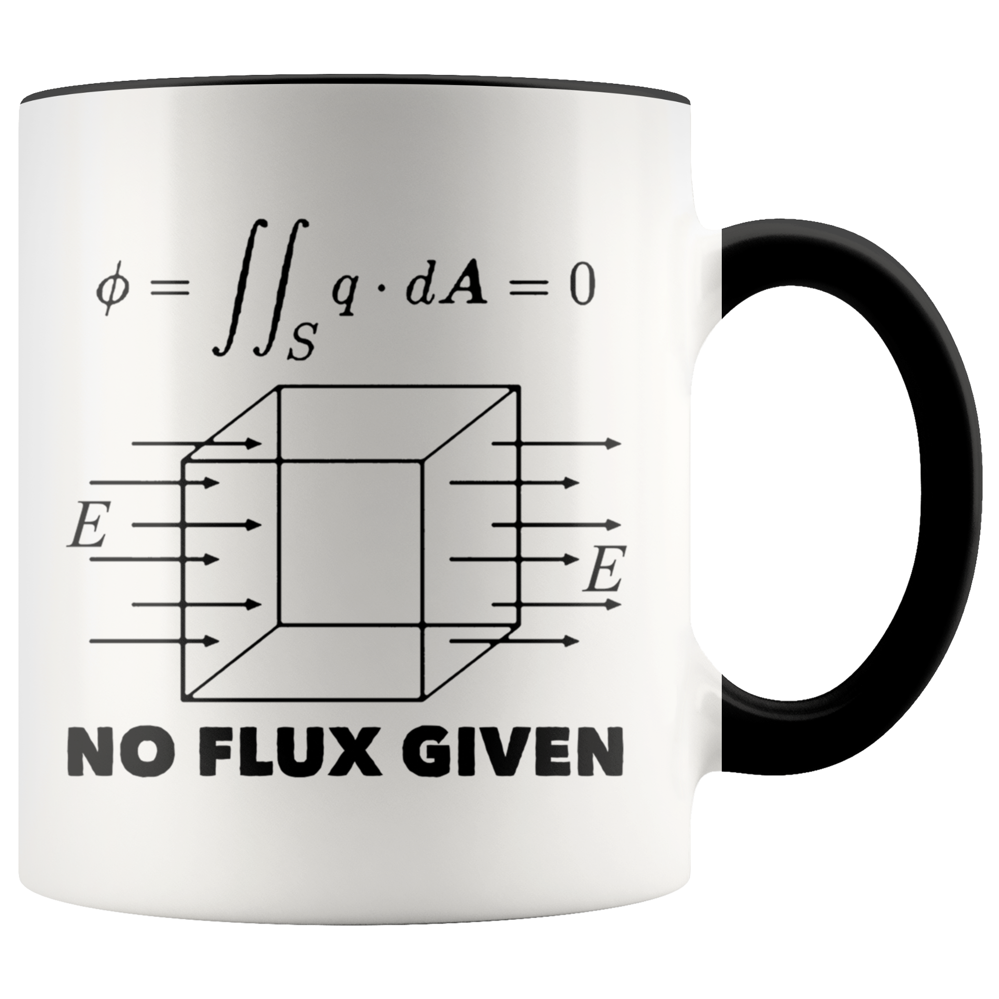 Accent Mug - Physics No Flux Given