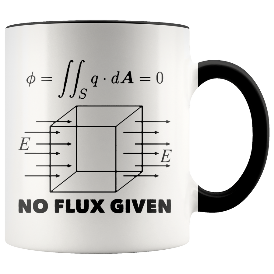 Accent Mug - Physics No Flux Given