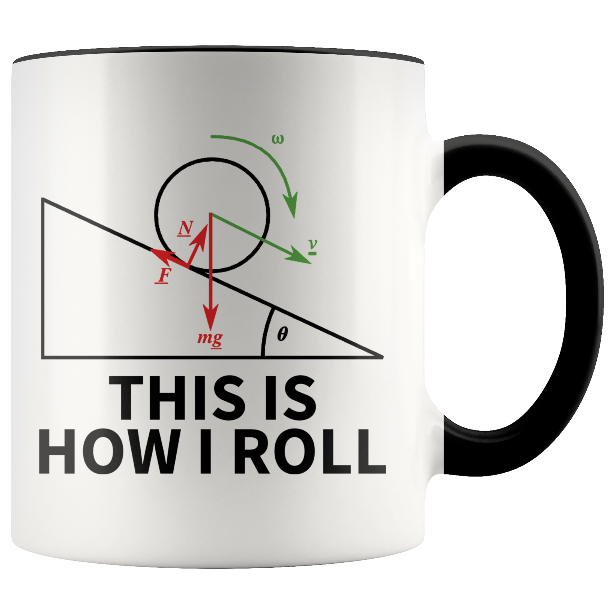 Accent Mug - Physics How I Roll