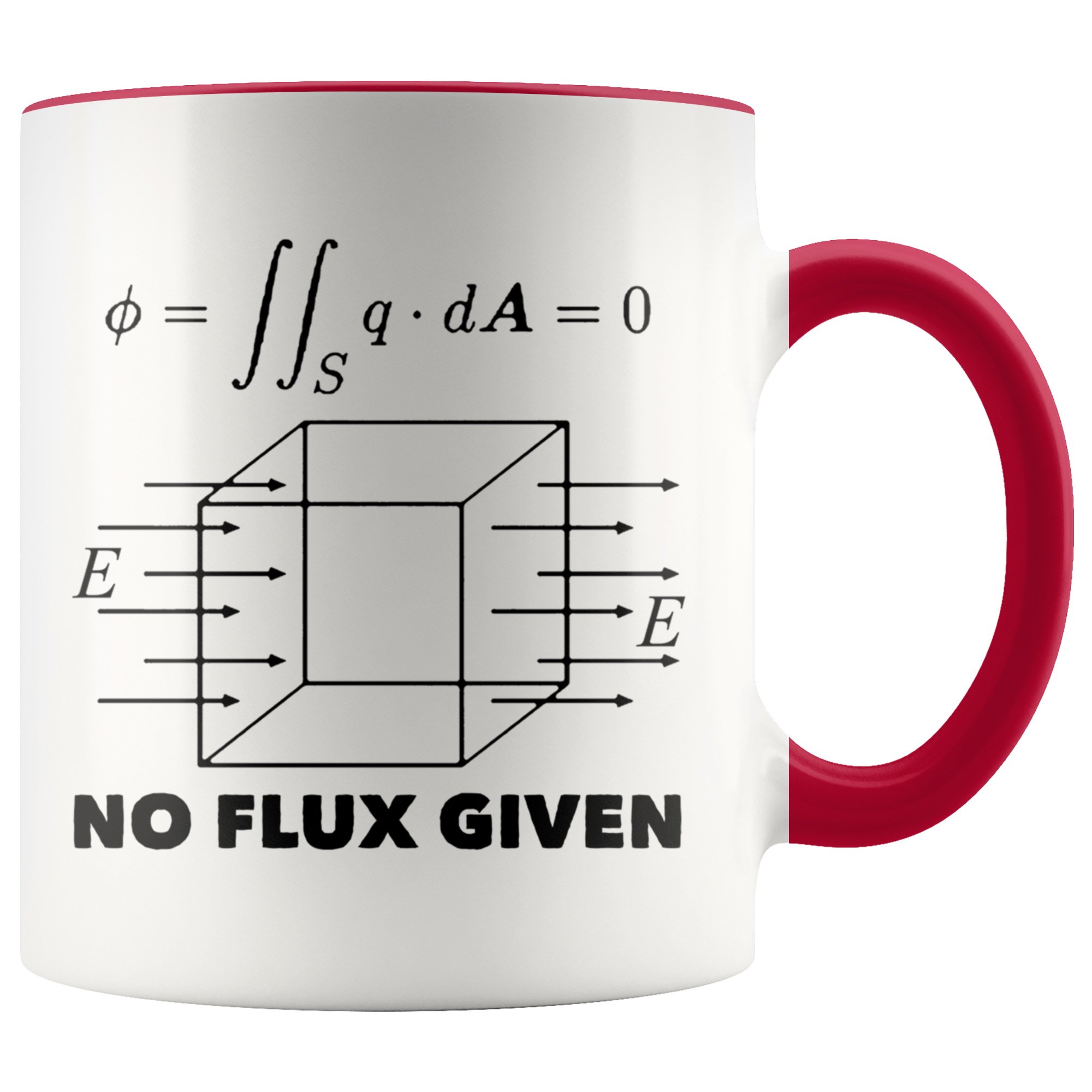 Accent Mug - Physics No Flux Given