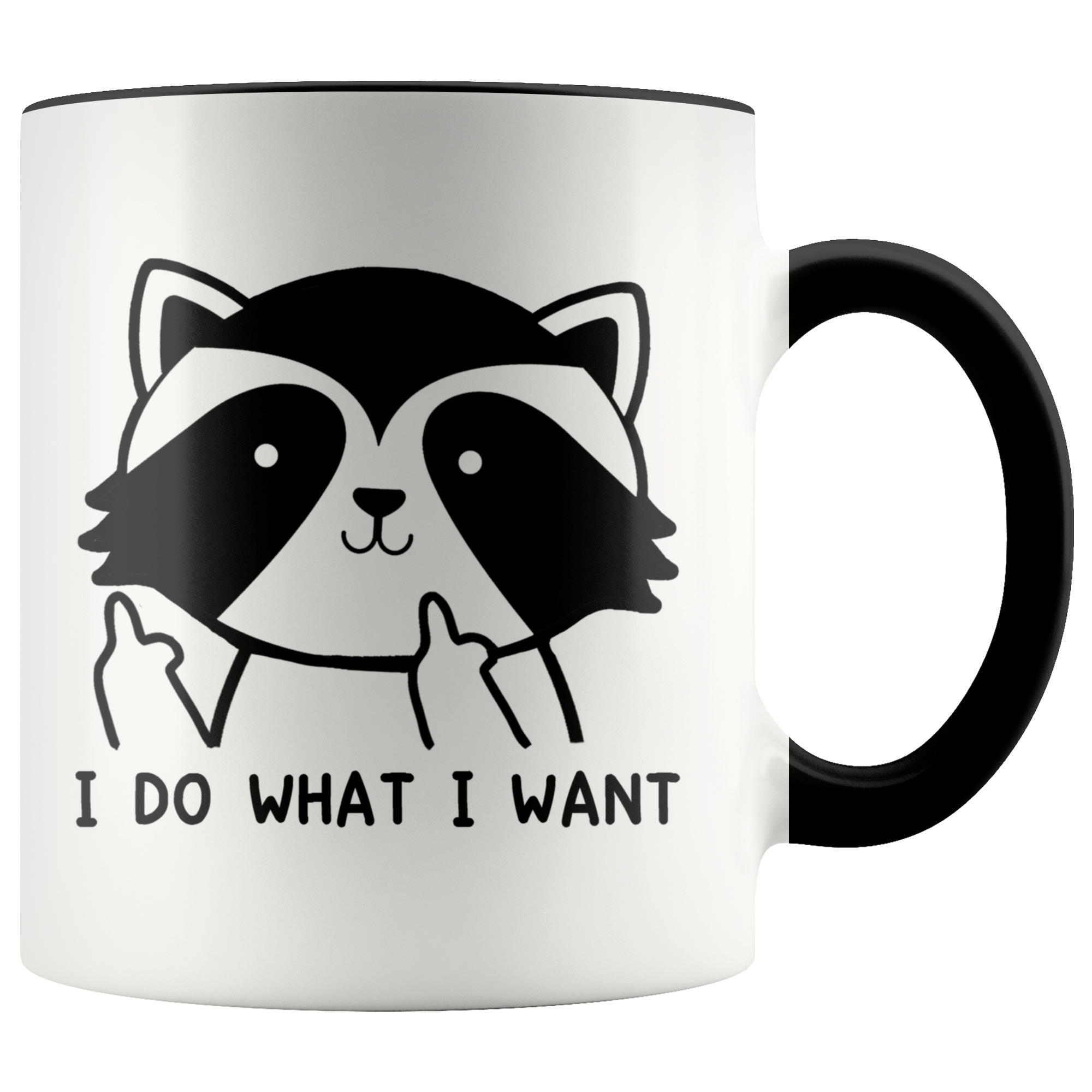 Accent Mug - Raccoon Do What I Want