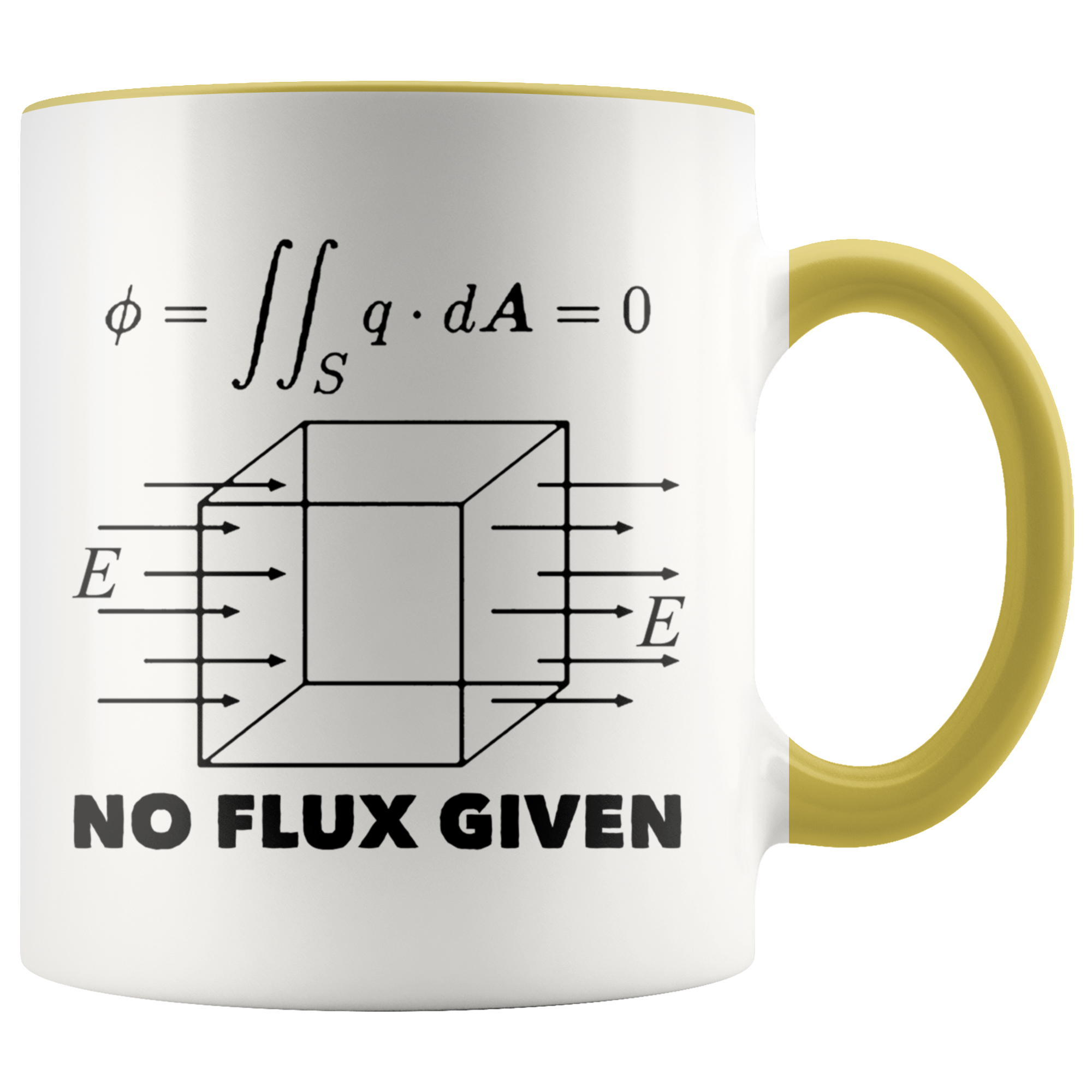 Accent Mug - Physics No Flux Given