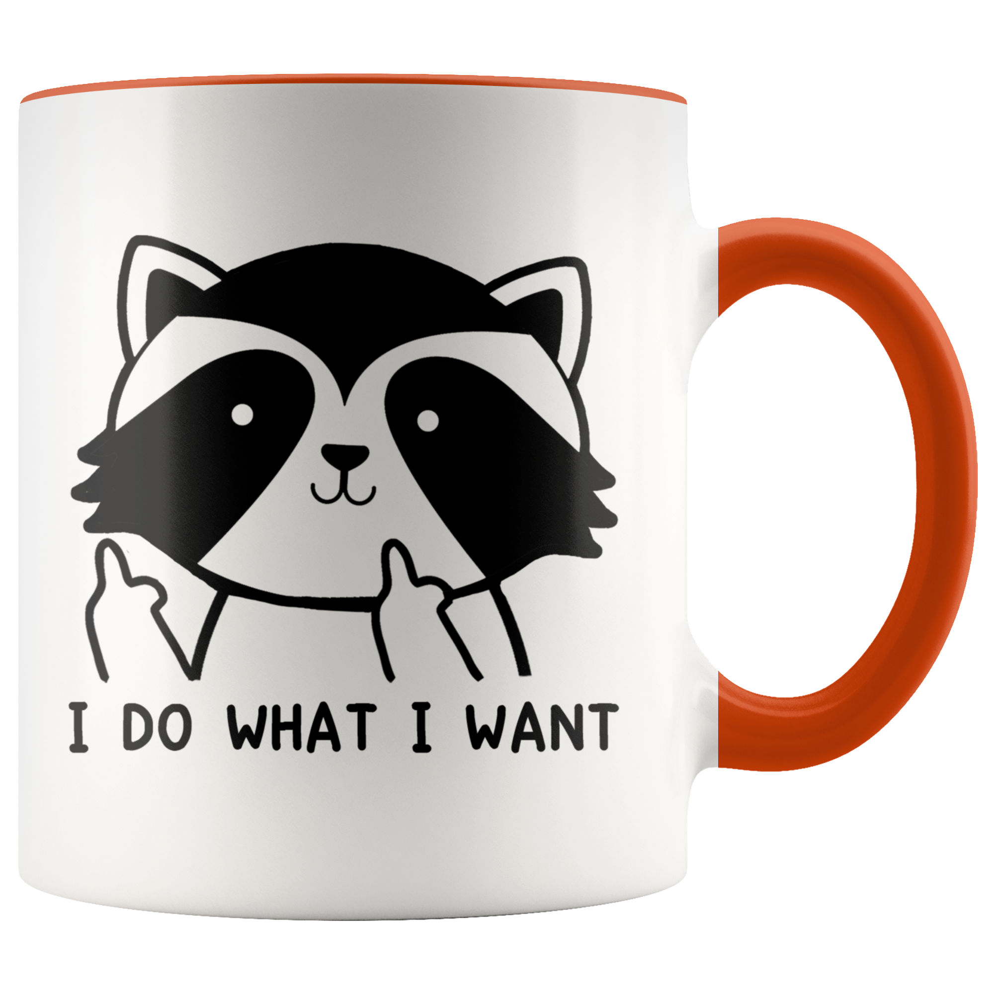 Accent Mug - Raccoon Do What I Want