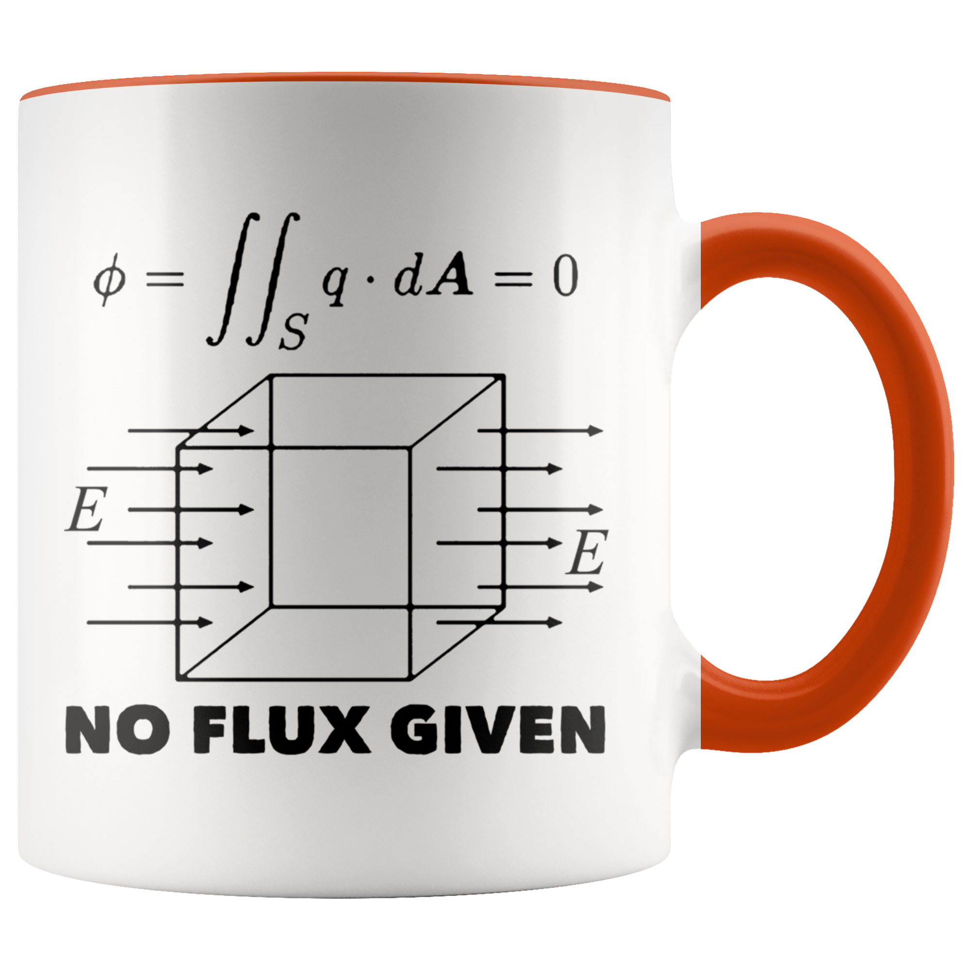 Accent Mug - Physics No Flux Given